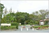 飯田公園（220m）