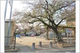 神倉公園（200m）