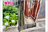 地域に密着した不動産販売でお客様のニーズに、経験豊富なスタッフが柔軟に対応させていただきます。