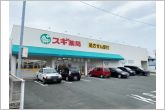 スギ薬局御油店（910m）