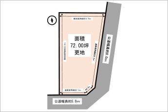 土地地形図