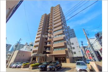 ダイアパレス・ステーションプラザ金山