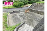現地や周辺環境も一緒にご確認いただけます。現地ご案内いたします。お気軽にお問合せください。