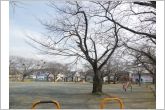 横手公園（210m）