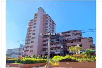 シティコーポ鳩岡B棟
