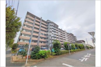バンベール・ラフィネ道徳