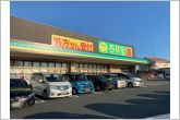 杏林堂新所原駅南店（1110m）