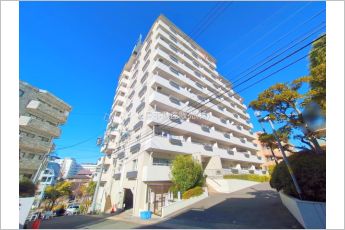 ライオンズマンション星ケ丘