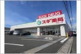 スギドラッグ日進岩藤店（1200m）スギドラッグ日進岩藤店の南側からの全景です。
