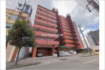 シャンボール康生