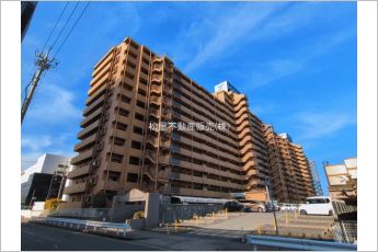 スペリアシティ名南アネックスV