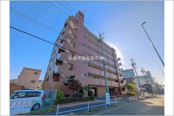 シャンボール道徳