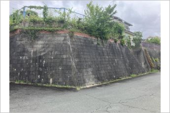豊橋市一色町字天獏　売地