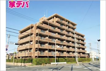 ヒルズ・ウィロード