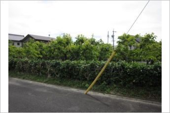 豊橋市多米西町2丁目　Ｂ区画