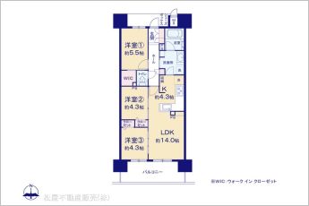 図面と異なる場合は現況を優先