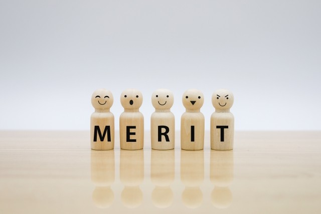 MERIT