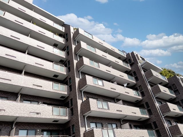 少数市場では初期価格と情報開示が販売期間を左右する