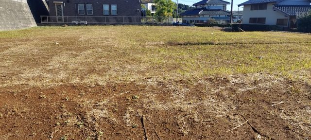 四半期ごとの件数と価格差から少数取引市場の特徴を読み解く