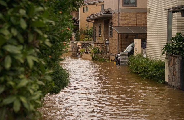 水害時の避難や建物の浸水リスクに注意が必要